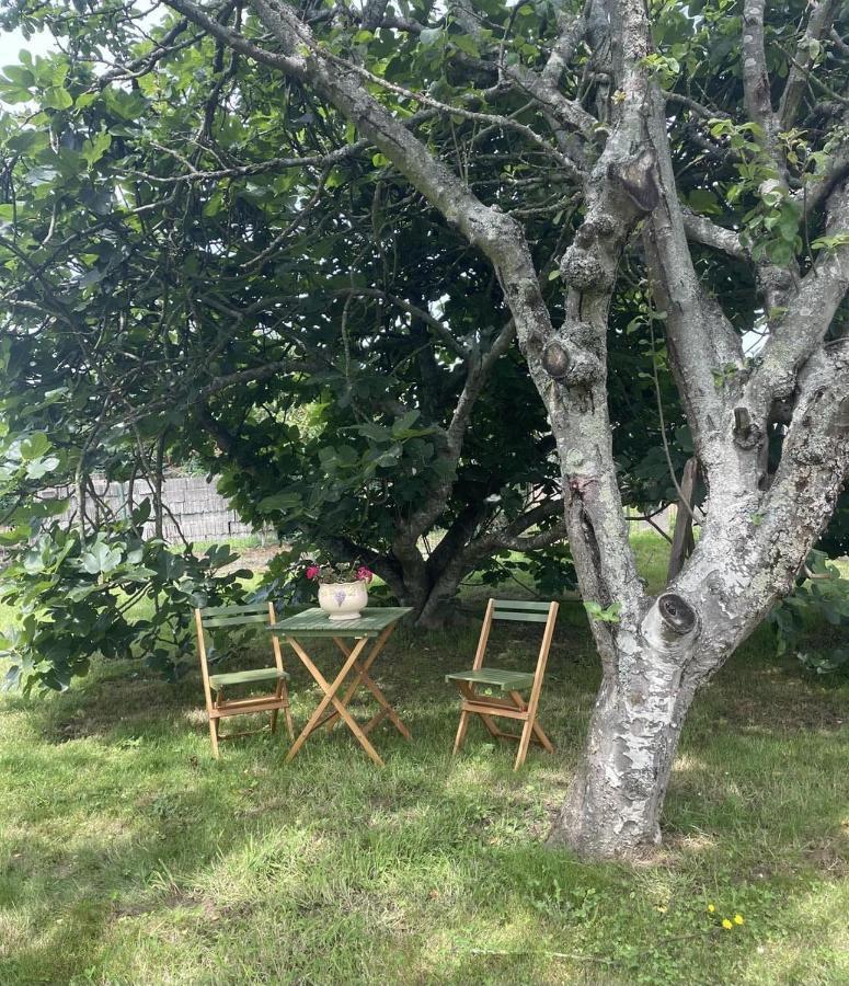 Haz De Mi Rincon En Mugardos Tu Experiencia. Villa Exteriör bild